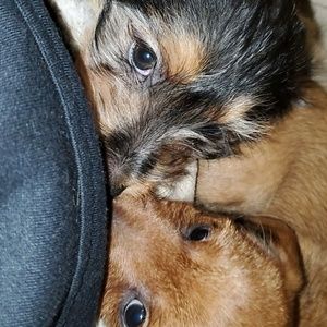 Meet your Posher, Gabi